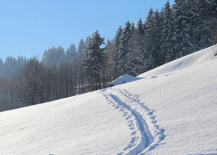 Herbert-1 By Interhome Appartamento *